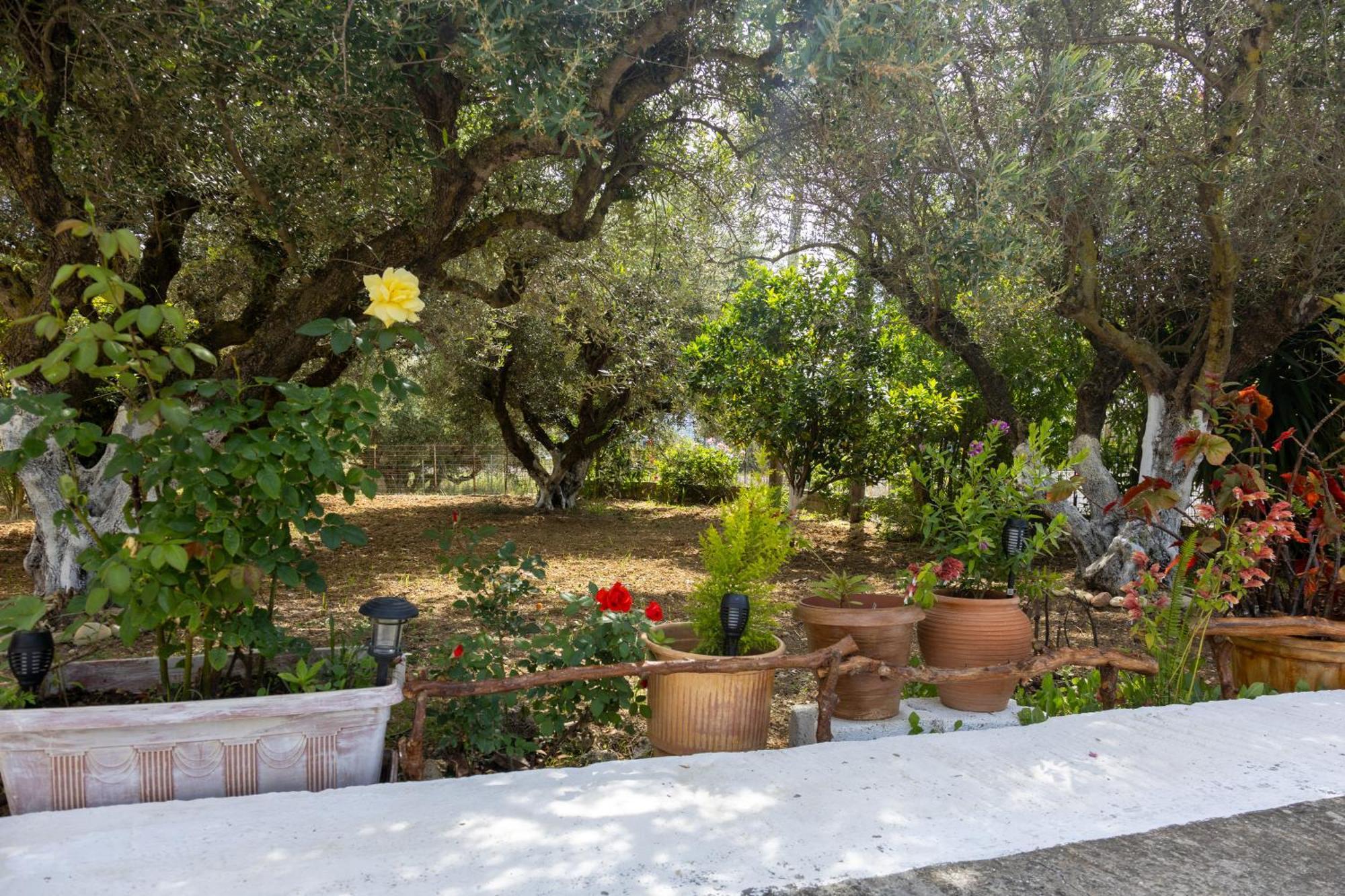 Sea & Olives House Vila Lixúri Exterior foto